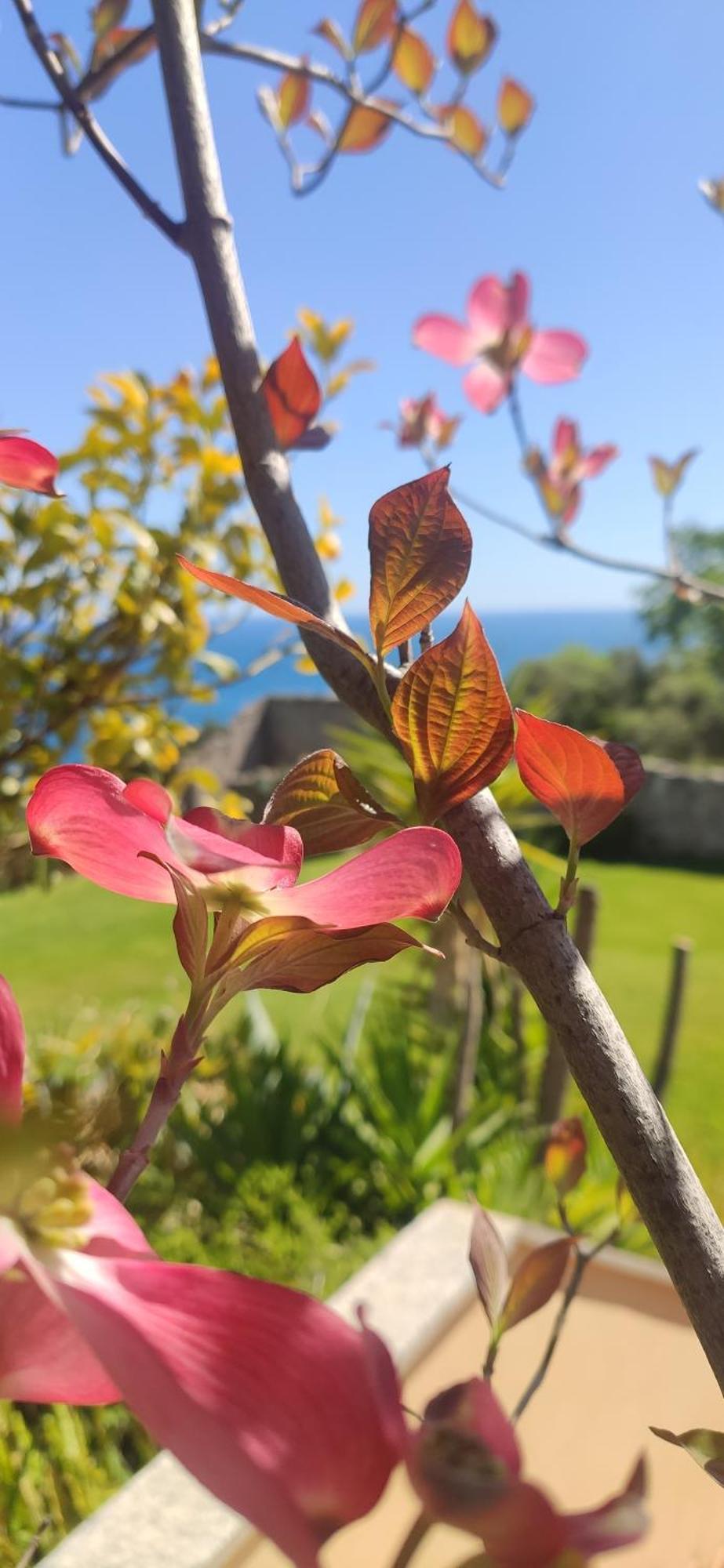 Il Giardino Sull'Isola - Appartamento - 贝尔杰吉 外观 照片