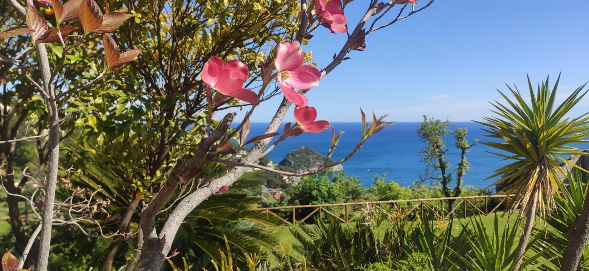 Il Giardino Sull'Isola - Appartamento - 贝尔杰吉 外观 照片